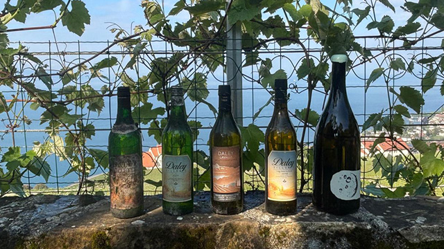 Portes Ouvertes au Domaine - 16-18 mai 2025 - Vins Nature biodynamiques & Historiques
