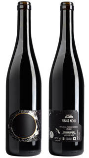 Pinot Noir 2020 Villette Grand Cru, Lavaux A.O.C. - Certified Biodynamic (Demeter)